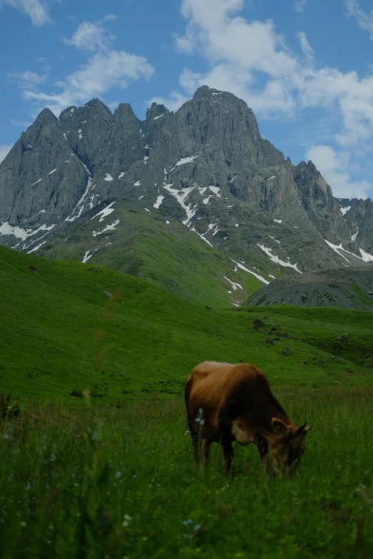 a brown cow standing on top of a lush green field, by Muggur, les nabis, monumental mountains, tall spires, mmmmm, caucasian