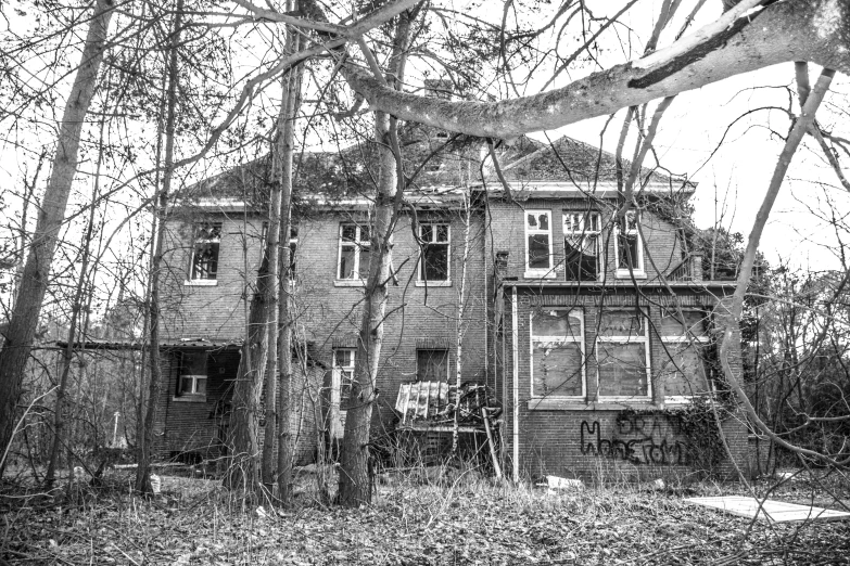 a black and white photo of a house in the woods, a black and white photo, pexels, barbizon school, abandoned city with graffiti, backpfeifengesicht, hospital, actual photo