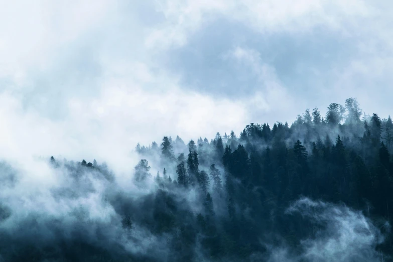 a plane flying over a forest on a cloudy day, an album cover, inspired by Elsa Bleda, pexels contest winner, romanticism, cyan fog, the trees are angry, black forest, moist foggy