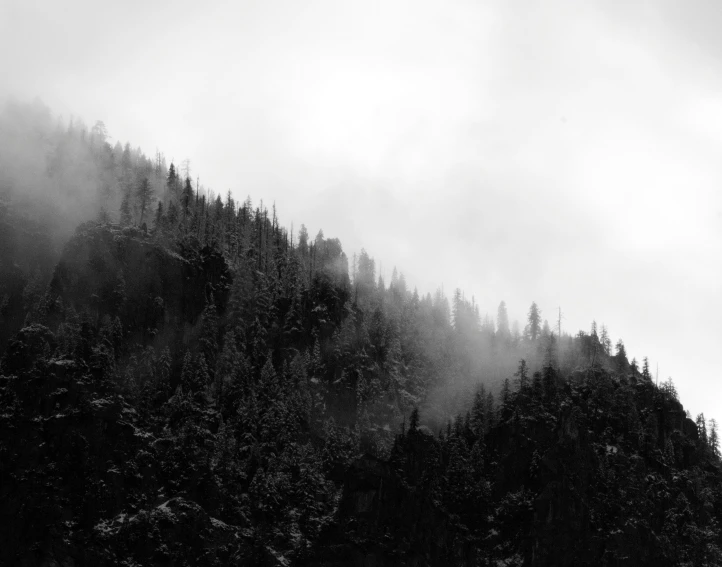 a black and white photo of a mountain, a black and white photo, pexels contest winner, romanticism, dystopian gray forest background, fog volume, evergreen forest, hillside