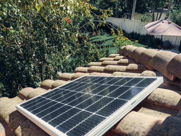 a solar panel sitting on top of a roof, a portrait, by Xul Solar, gardening, instagram picture, 15081959 21121991 01012000 4k, ground - level medium shot