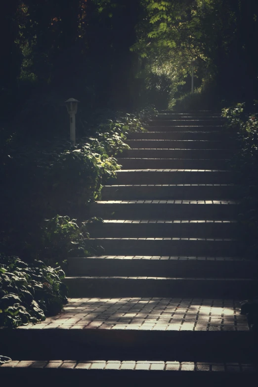 a set of stairs leading up to the top of a hill, inspired by Elsa Bleda, unsplash, romanticism, walking into a deep dark florest, beautifully soft lit, garden road, snapchat photo