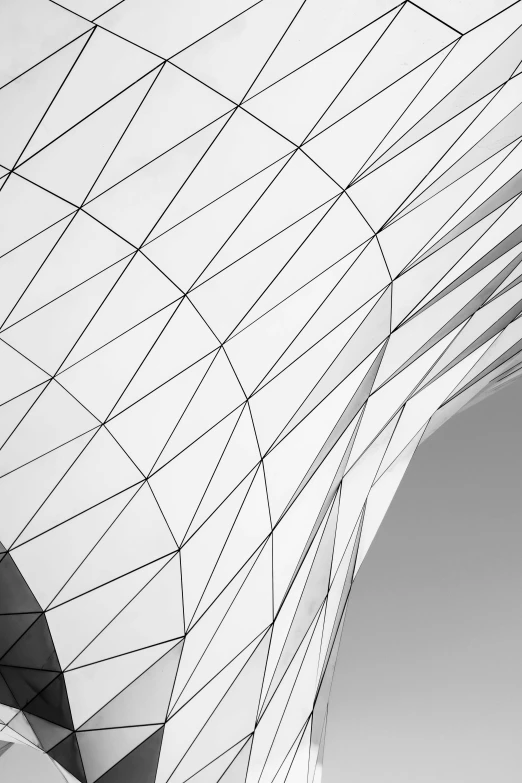 a black and white photo of a building, inspired by Zha Shibiao, unsplash contest winner, geodesic, glossy white metal, thin line art, square