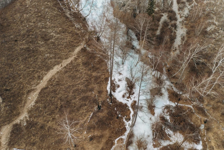 a river running through a dry grass covered forest, a picture, by Muggur, unsplash, hurufiyya, snow on trees and ground, drone footage, falling off a cliff, thumbnail