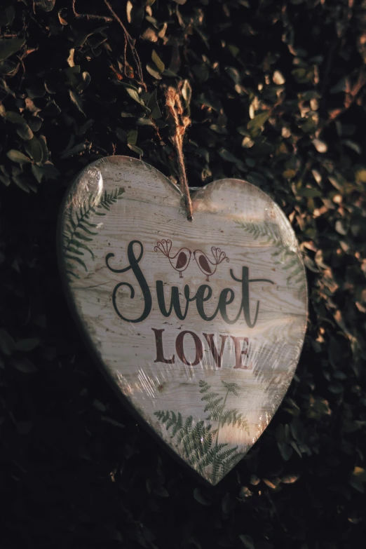 a wooden heart hanging from a tree, a picture, by Sylvia Wishart, pexels, sweet home, sign, medium close up portrait, dessert