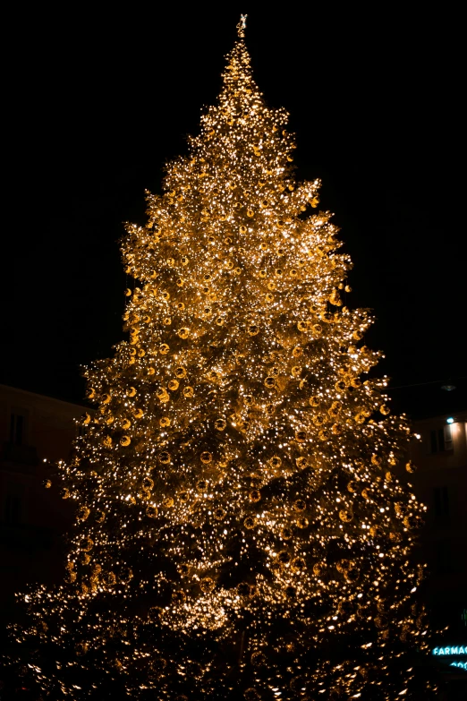 a lighted christmas tree in front of a building, shades of gold display naturally, profile image, zoomed out, massive tree