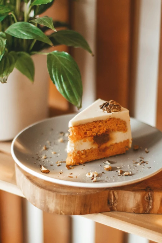 a piece of cake on a plate next to a potted plant, a still life, unsplash, white and orange, deluxe, eastern european, full product shot