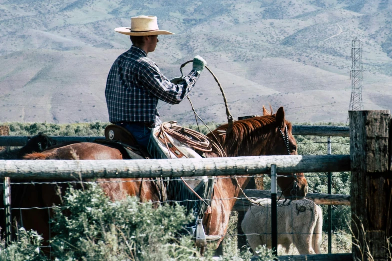 a man riding on the back of a brown horse, by Linda Sutton, pexels contest winner, fence line, hollister ranch, both men and cattle, idaho