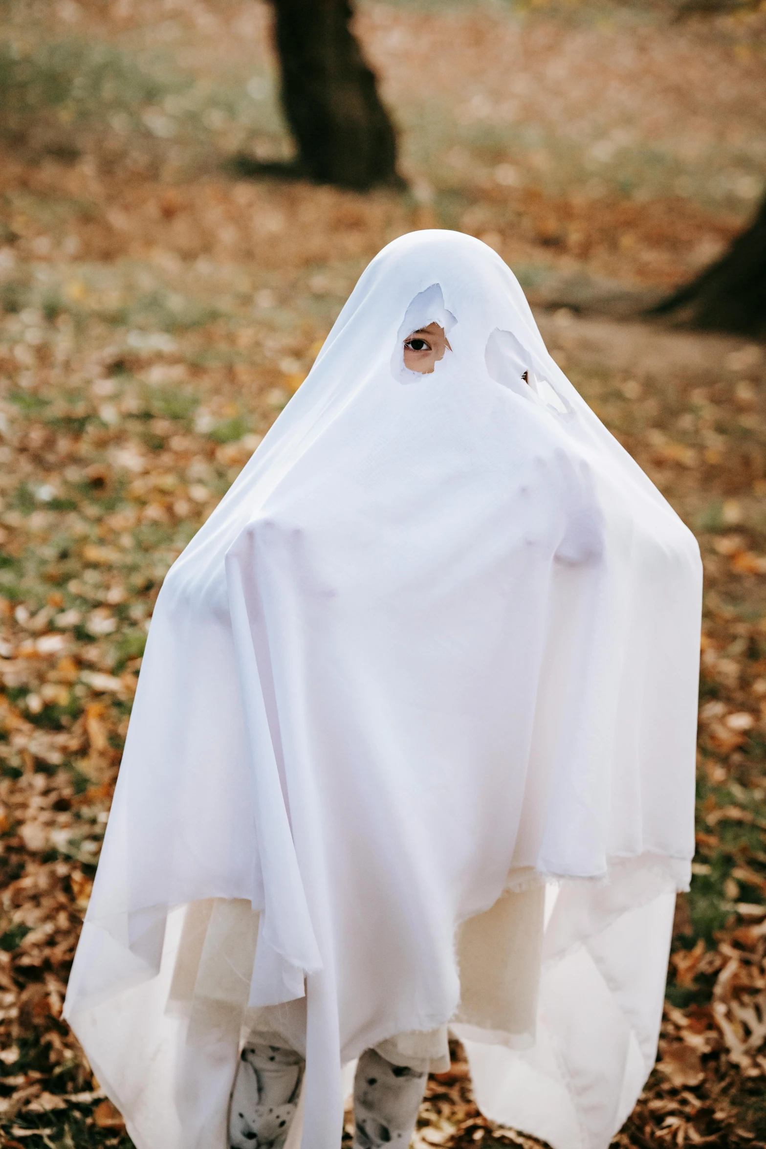 a person in a ghost costume standing in the woods, white cloth, human staring blankly ahead, plain, pictured from the shoulders up