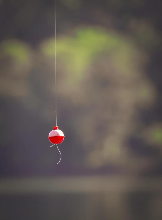 a red and white fishing float sitting on top of a body of water, unsplash, hanging from a tree, paul barson, medium format. soft light, trending photo