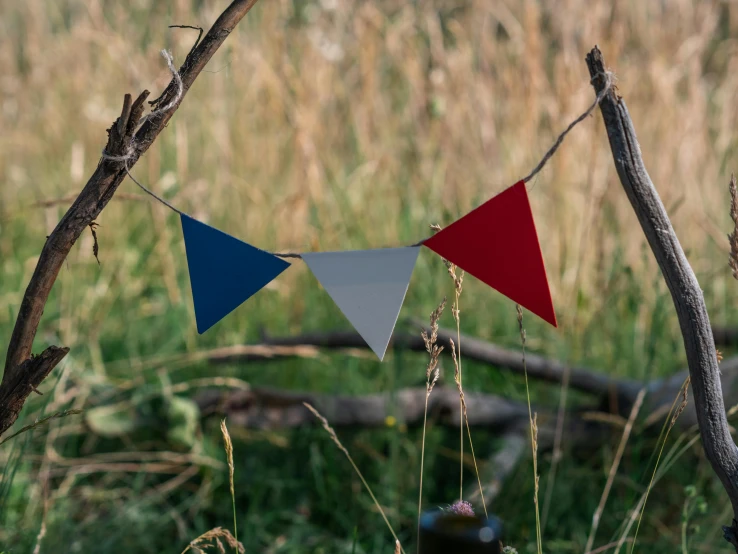 a fire hydrant sitting in the middle of a field, unsplash, land art, red pennants, blue, woodland setting, sail