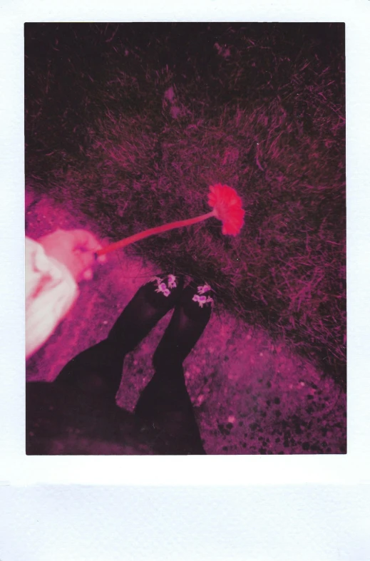 a person standing in the grass with a flower in their hand, a polaroid photo, inspired by Elsa Bleda, happening, purple and red color bleed, red neon roses, ((pink)), single color