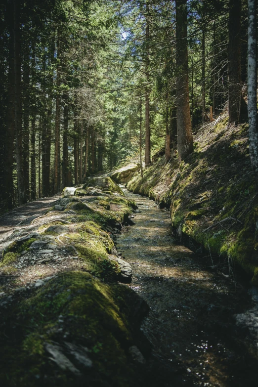 a dirt road in the middle of a forest, large rocks with thick moss, unsplash photography, switzerland, real-life brook