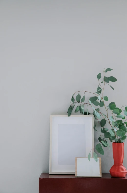 a red vase sitting on top of a wooden table, a minimalist painting, pexels contest winner, tall plants, wall ], light grey, media photo