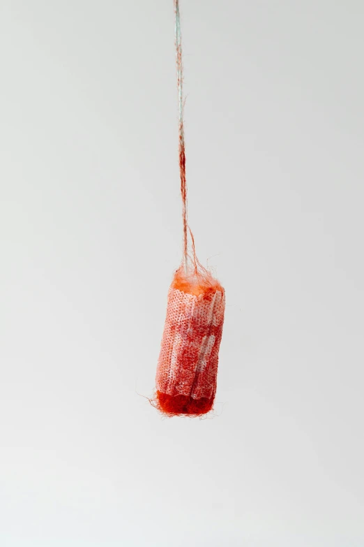 a piece of meat hanging from a string, by Maeda Masao, scratched vial, vermillion, made of lab tissue, sterile colours