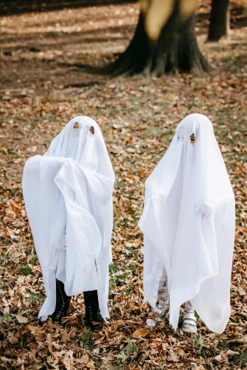 two children dressed as ghosts standing in the leaves, pexels contest winner, ripped fabric, blank, fall guys, drones