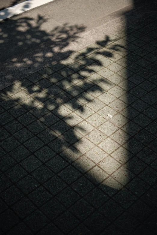 a red fire hydrant sitting on the side of a road, by Tobias Stimmer, unsplash, large tree casting shadow, square lines, rinko kawauchi, ( ( ( in a dark