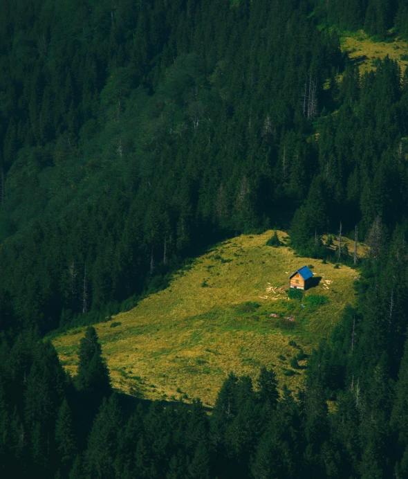 a small house sitting on top of a lush green hillside, by Sebastian Spreng, pexels contest winner, fir forest, no people 4k, camp, wide high angle view