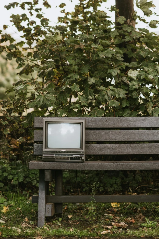 a television sitting on top of a wooden bench, by Elsa Bleda, unsplash, video art, sitting under a tree, 1 9 8 0 s tech, politics, gold