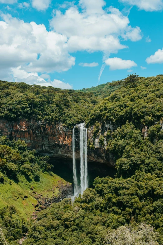 a waterfall in the middle of a lush green forest, les nabis, salvador, the middle of a valley, flat lay, exterior