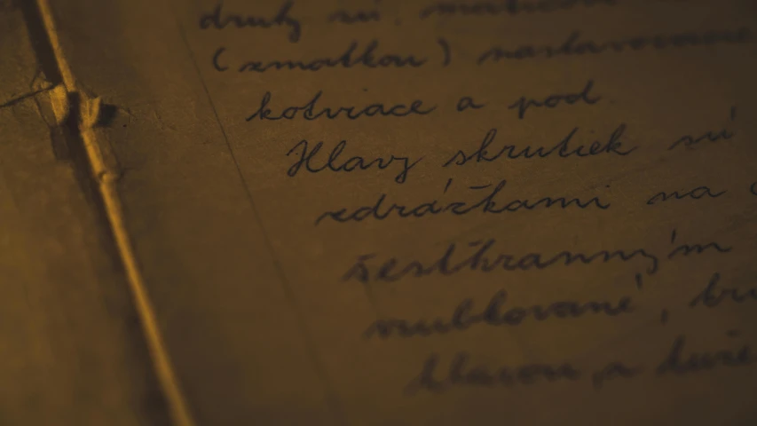 a close up of a book with writing on it, by Adam Marczyński, unsplash, romanticism, brown, government archive photograph, graphite, thumbnail