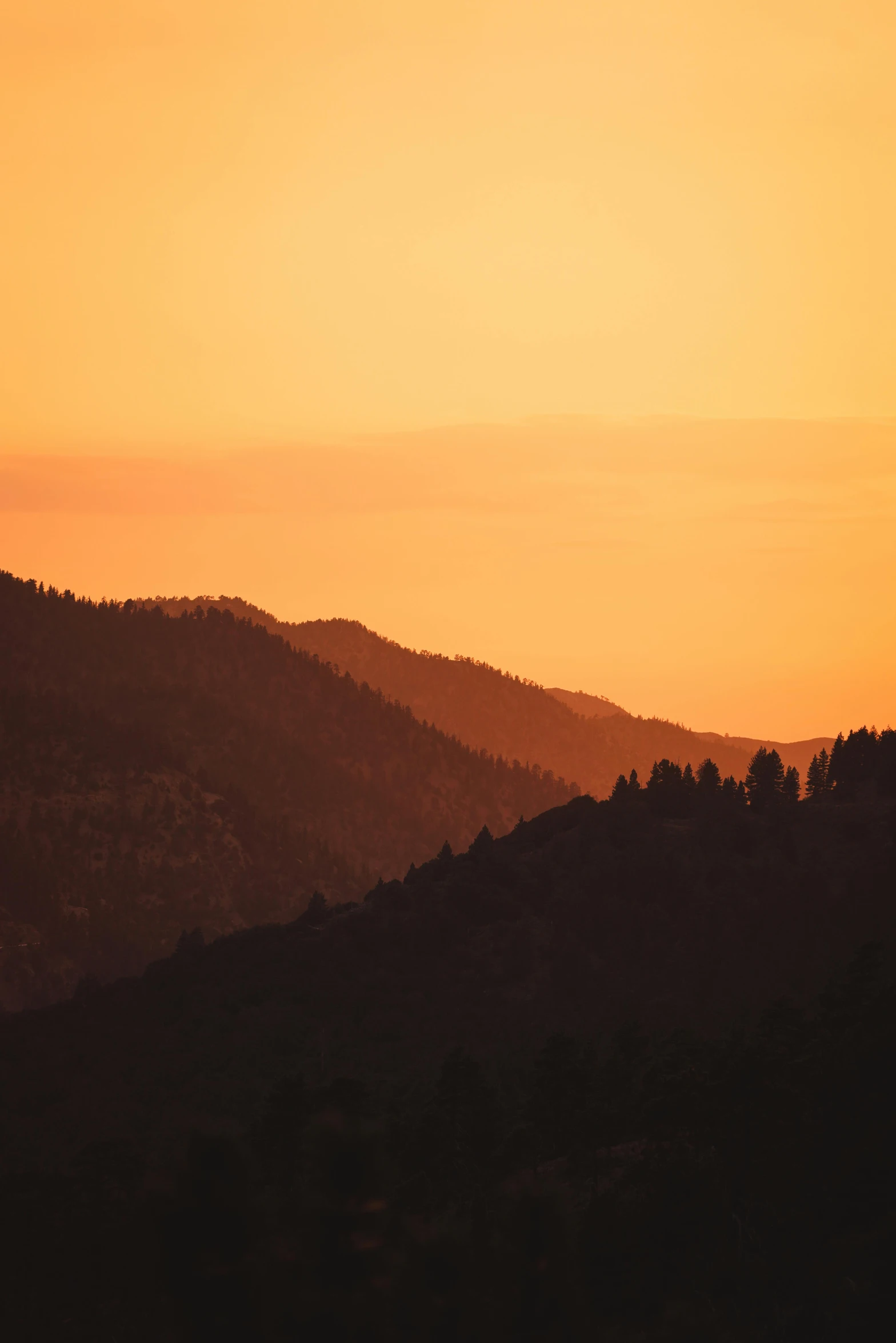 the sun is setting over a mountain range, inspired by Christo, unsplash contest winner, tonalism, cypresses, orange color tone, black forest, today\'s featured photograph 4k