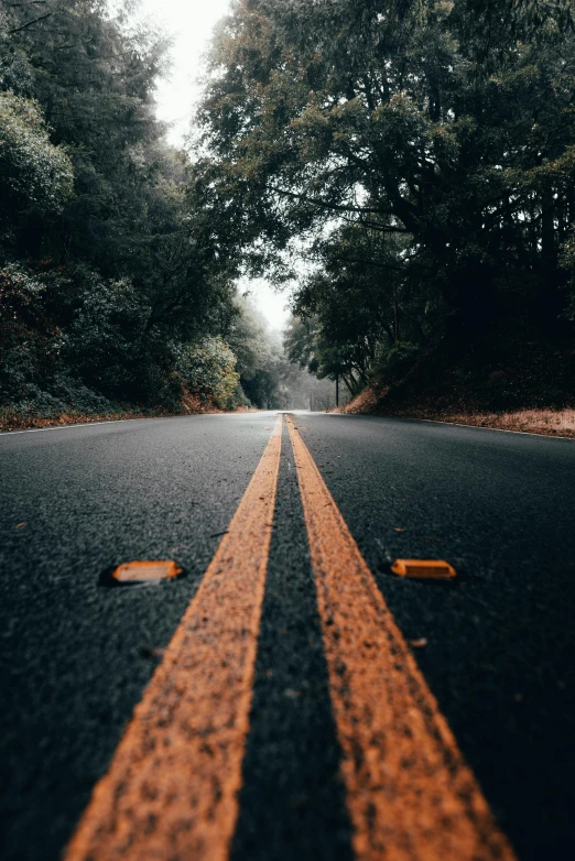 an empty road in the middle of a forest, unsplash contest winner, realism, orange racing stripes, asphalt and metal, head down, side