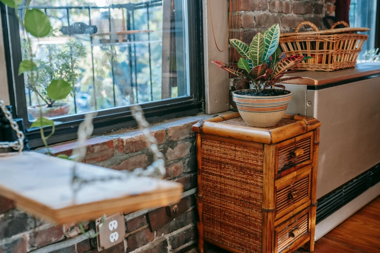 a potted plant sitting on top of a wooden table next to a window, unsplash, arts and crafts movement, storefronts, warm colored furniture, background image