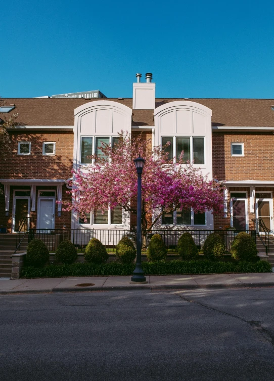 a red fire hydrant sitting on the side of a road, by Pamela Drew, american barbizon school, tall purple and pink trees, in front of a two story house, panoramic shot, spring season city