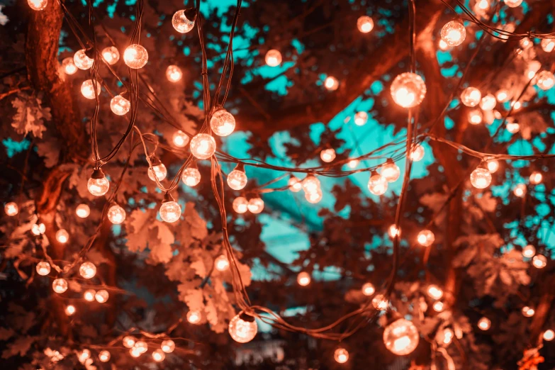 a bunch of lights hanging from a tree, inspired by Elsa Bleda, pexels contest winner, reddish exterior lighting, teal lights, pink light, instagram post