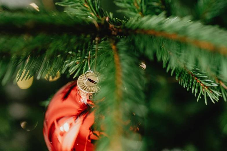 a red ornament hanging from a christmas tree, a photo, pexels, hurufiyya, thumbnail, shot on sony a 7, a green, jovana rikalo