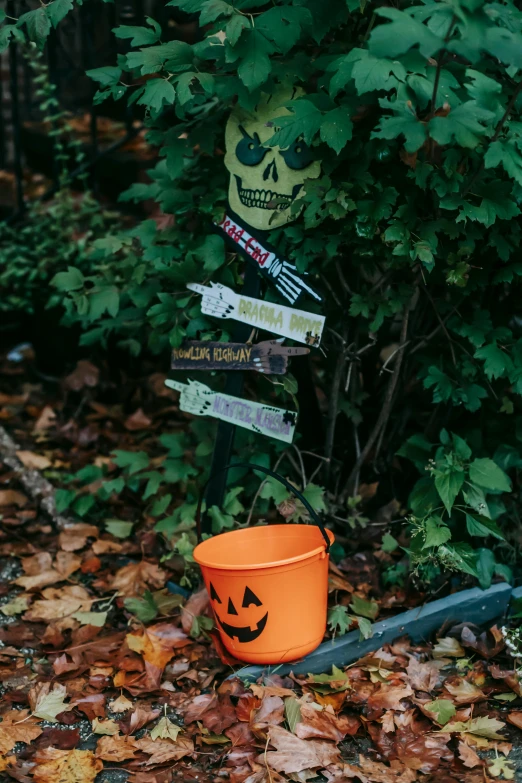 an orange bucket sitting on the ground next to a bush, pexels contest winner, halloween decorations, signboards, profile image, wooden staff