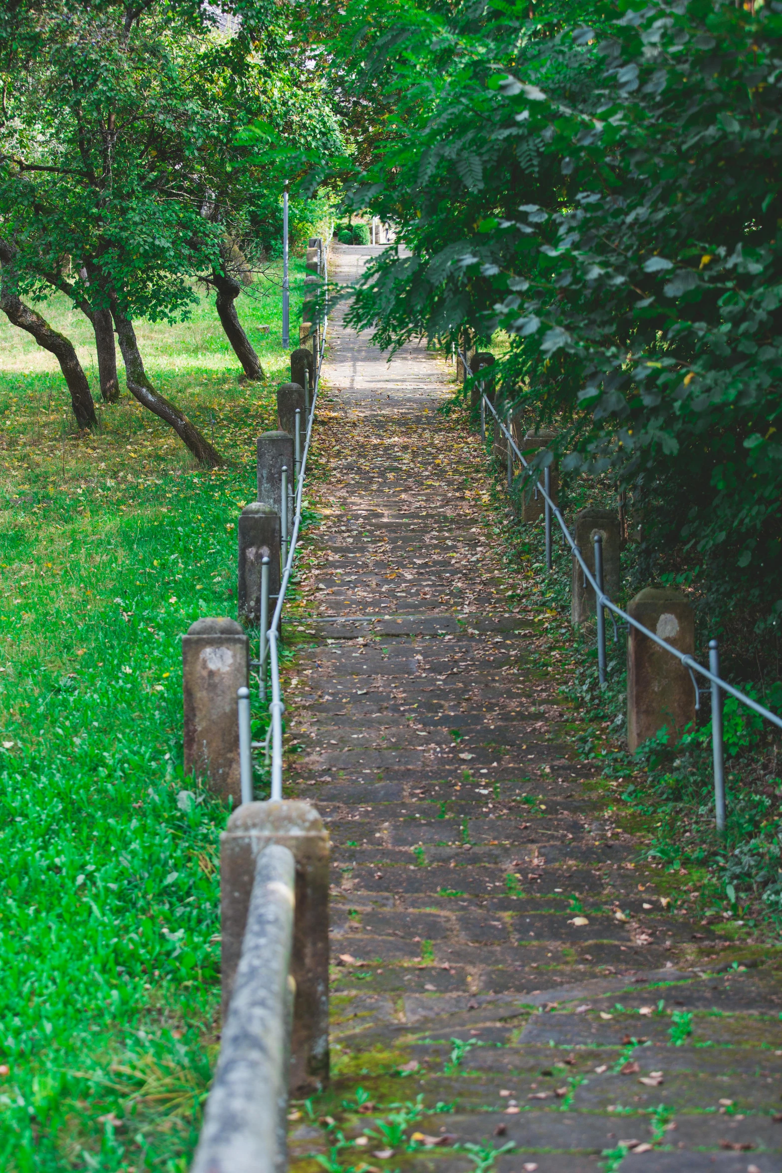 a wooden walkway through a lush green park, an album cover, inspired by Elsa Bleda, unsplash, happening, old stone steps, stanchions, high angle view, be running up that hill