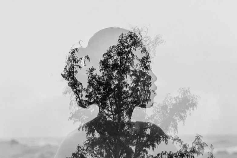 a woman that is standing in front of a tree, a black and white photo, by Kristian Zahrtmann, pexels contest winner, double - exposure, face made out of clouds, kara walker, living tree
