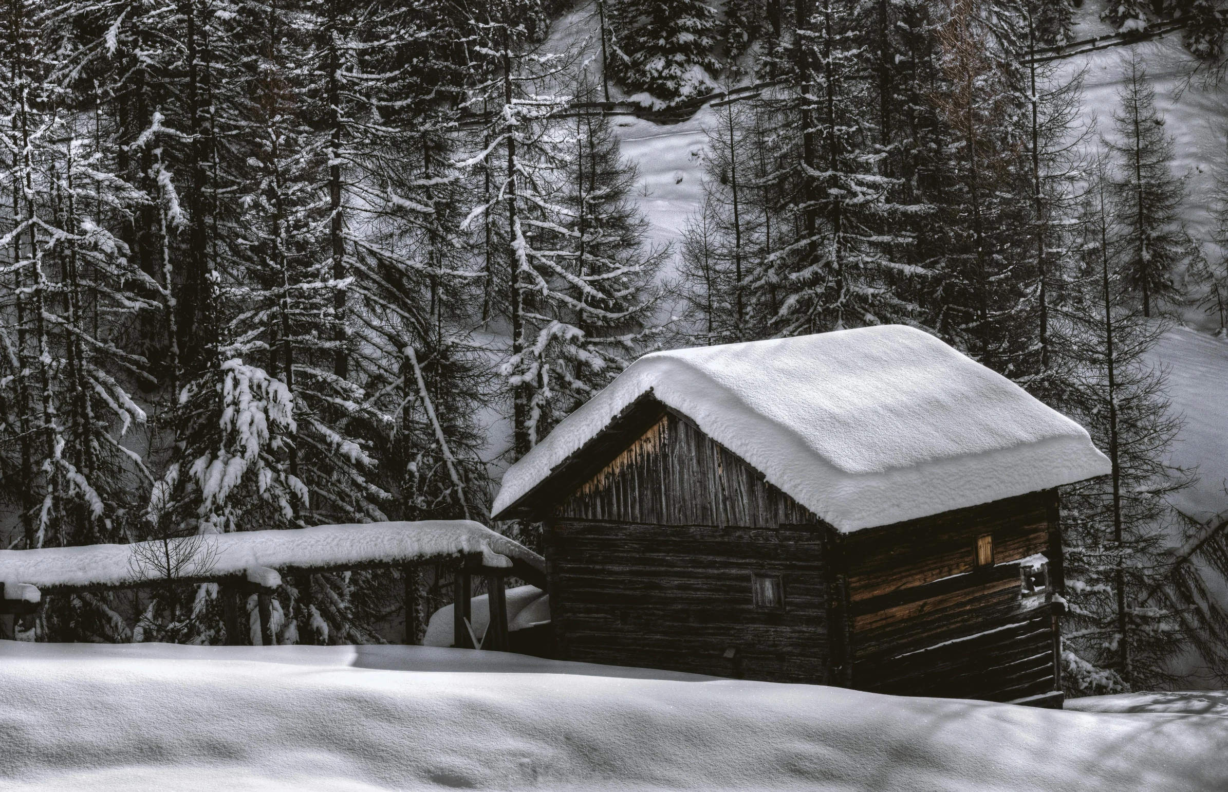 a cabin in the middle of a snowy forest, pexels contest winner, renaissance, peaked wooden roofs, 1940s photo, alpine climate, thumbnail