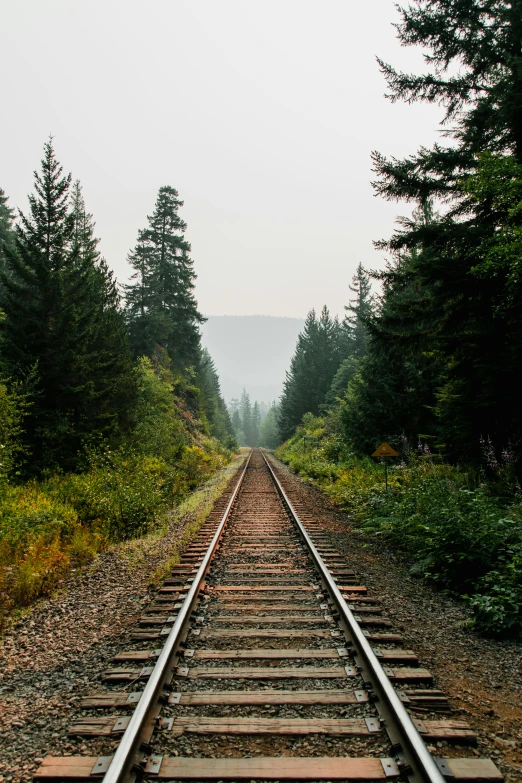 a train track in the middle of a forest, by Jessie Algie, mountains in the distance, cascadia, do