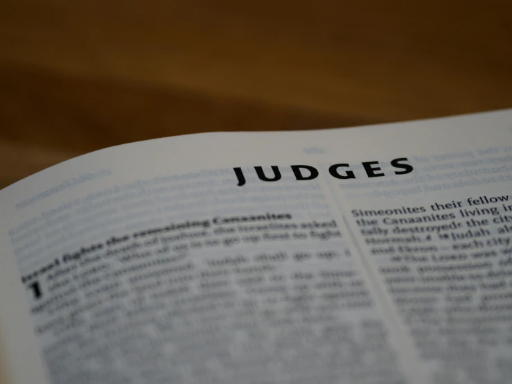 an open book with the word judges written on it, by Nick Fudge, pexels contest winner, facing sideways, thumbnail, they are very serious, awards