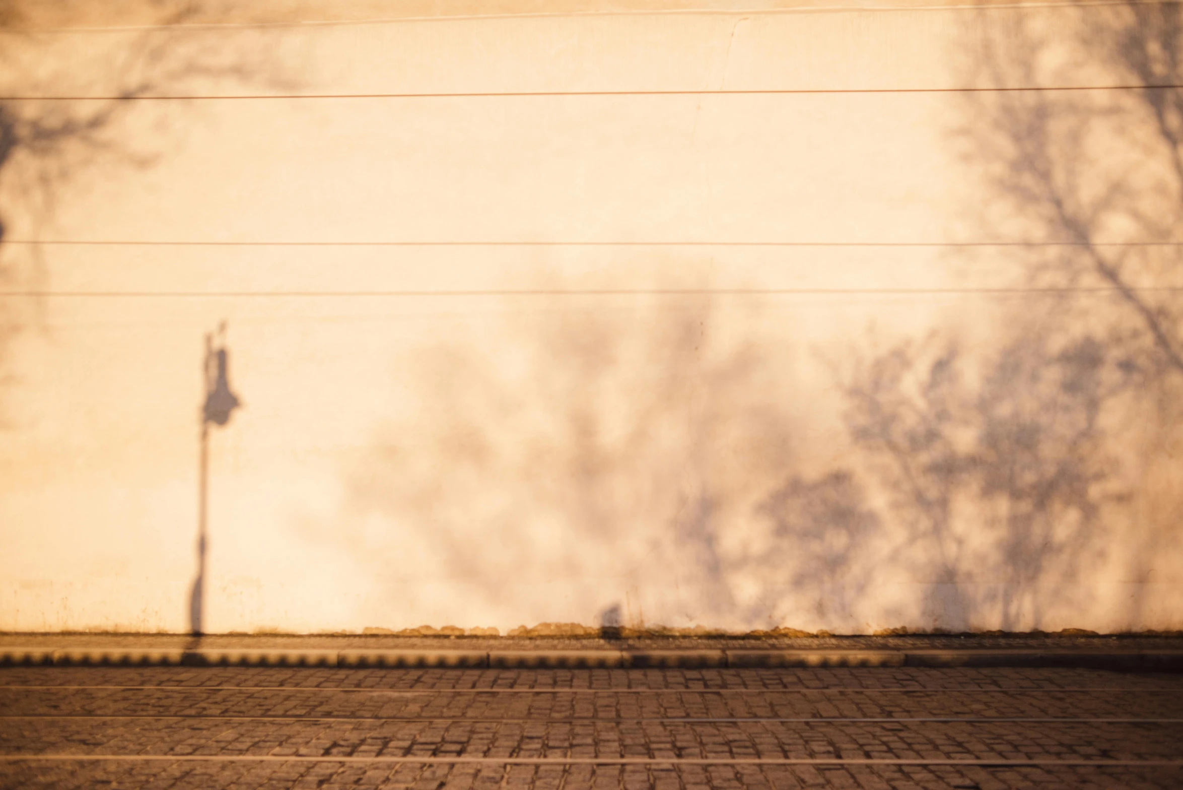 a fire hydrant sitting on the side of a road, inspired by Elsa Bleda, pexels contest winner, postminimalism, trees cast shadows on the wall, gradient brown to white, soft light - n 9, volumetric smoke and shadows