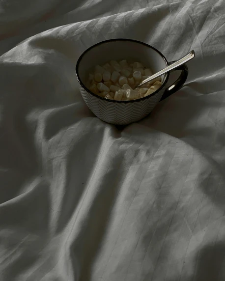a bowl of cereal and a spoon on a bed, inspired by Elsa Bleda, low quality photo, grey