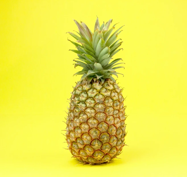 a pineapple on a yellow background, unsplash, taken in the late 2010s, high-quality photo, colour photograph, 🍸🍋