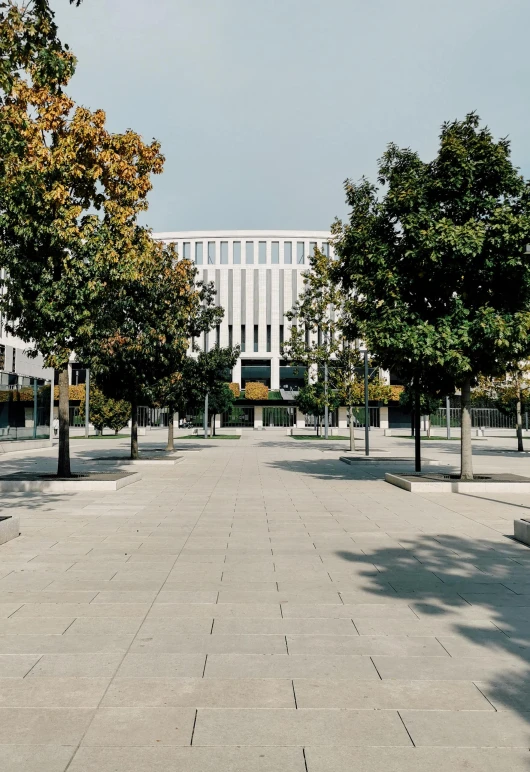 a man riding a skateboard down a sidewalk, inspired by David Chipperfield, danube school, vast library, against the backdrop of trees, square, in the center of the image
