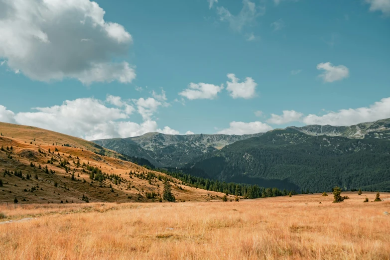 a grassy field with mountains in the background, by Emma Andijewska, unsplash contest winner, les nabis, ukraine. photography, slightly tanned, fall season, slide show