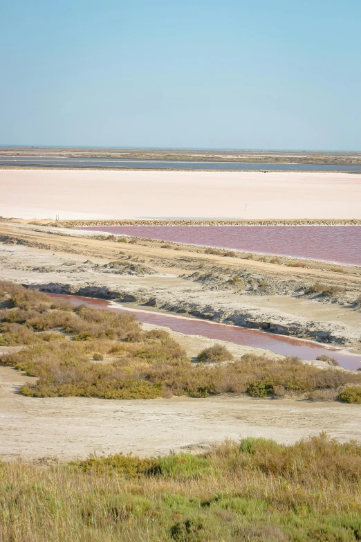 a large body of water sitting on top of a dry grass covered field, pink water in a large bath, red desert, coastline, chocolate river