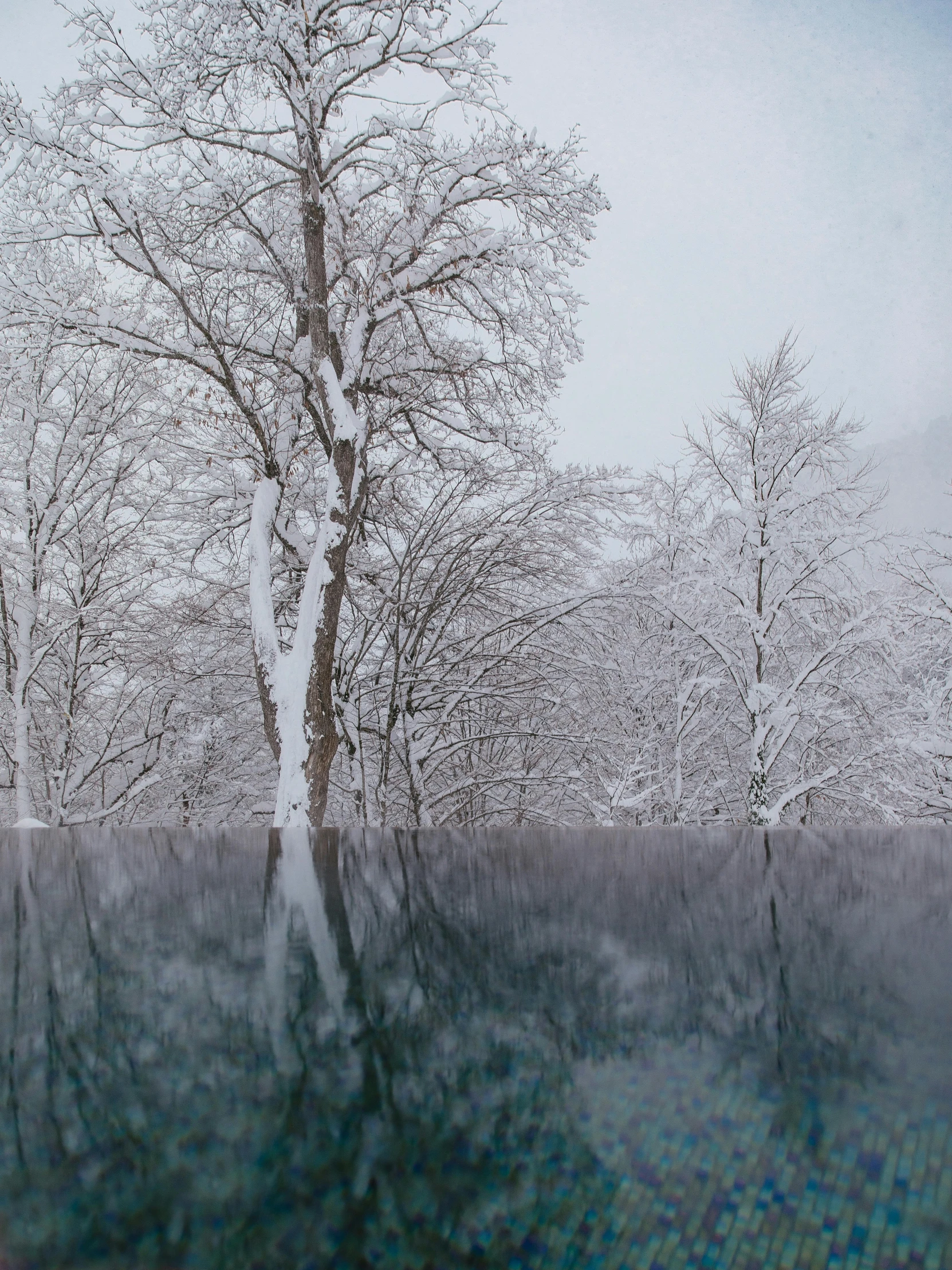 a group of trees that are standing in the snow, inspired by Tadao Ando, pexels contest winner, reflective pool, david hamilton, 4 k cinematic panoramic view, today\'s featured photograph 4k