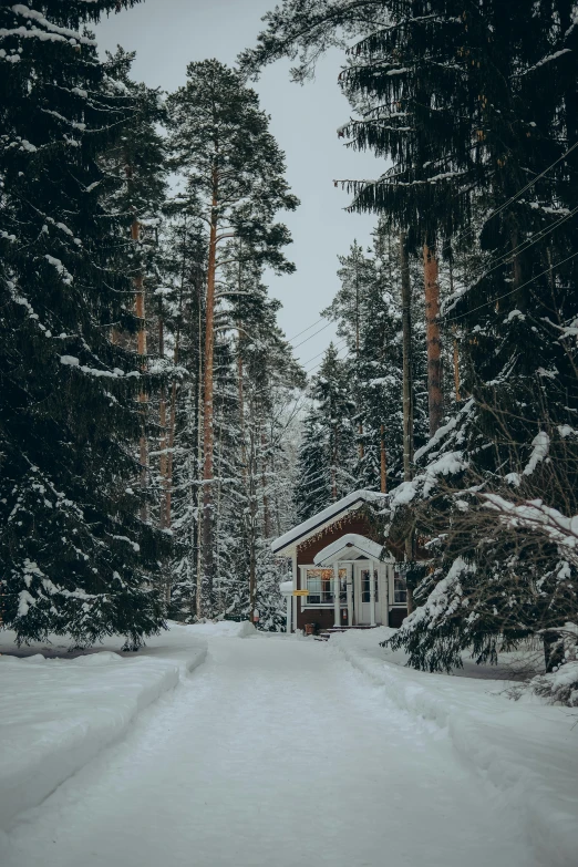 a cabin in the middle of a snowy forest, by Jaakko Mattila, pexels contest winner, lush surroundings, tall pine trees, (3 are winter, religious