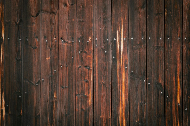 a close up of a wooden wall with rivets, pexels, renaissance, dark brown, 64x64, wooden floor, nice weather