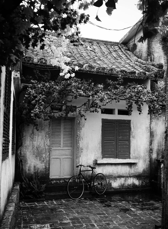 a black and white photo of a bicycle parked in front of a house, by Tan Ting-pho, cinematic. by leng jun, vine covered, built on a small, ben lo