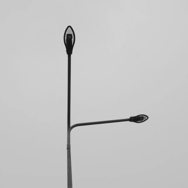 a black and white photo of a street light, unsplash, postminimalism, thin spikes, gray sky, zezhou chen, no head