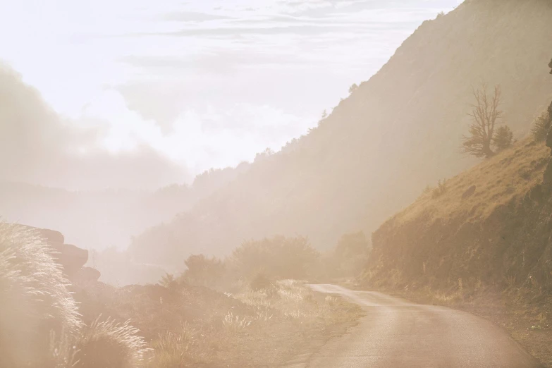 a person riding a horse down a dirt road, sumatraism, light pink mist, downhill landscape, muted colours, malika favre