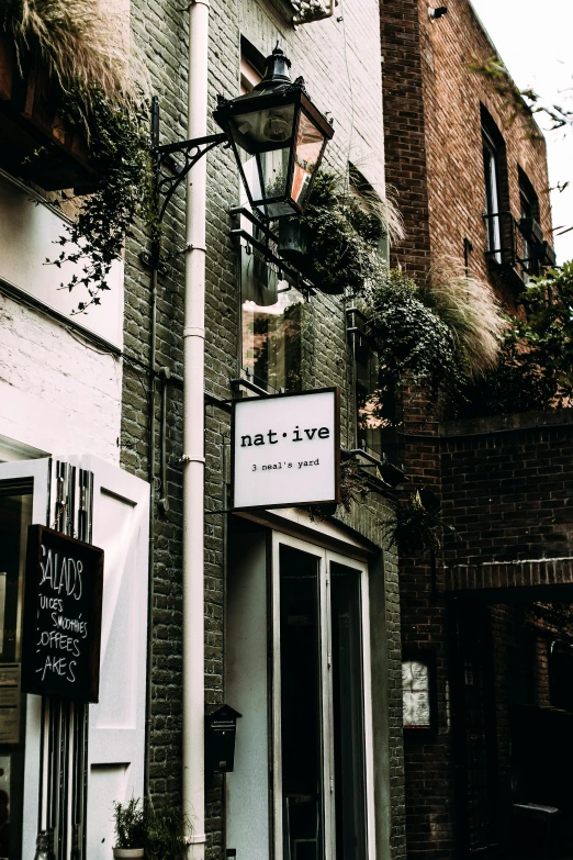 a light that is on the side of a building, pexels contest winner, naive art, boho neutral colors, bright signage, outlive streetwear collection, branches growing as hair